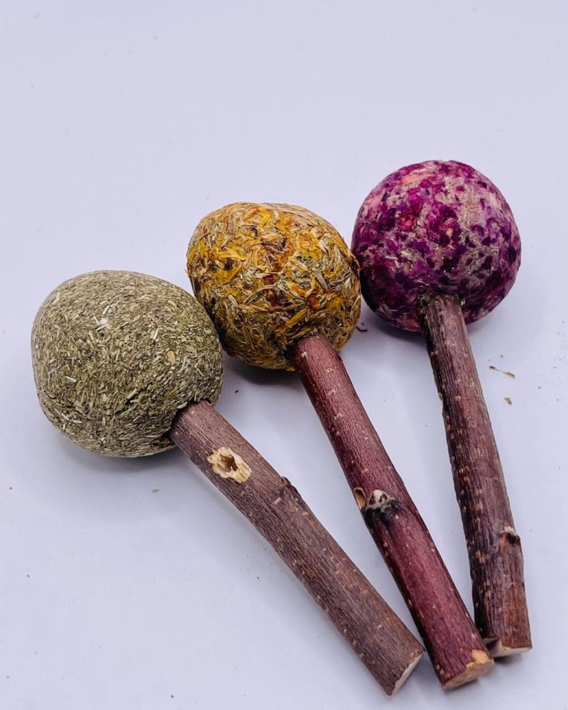 Timothy Hay Floral Grass Ball Lollipops Treat for Rabbit, Hamsters, Guinea Pigs, Chinchillas & Small Rodents.