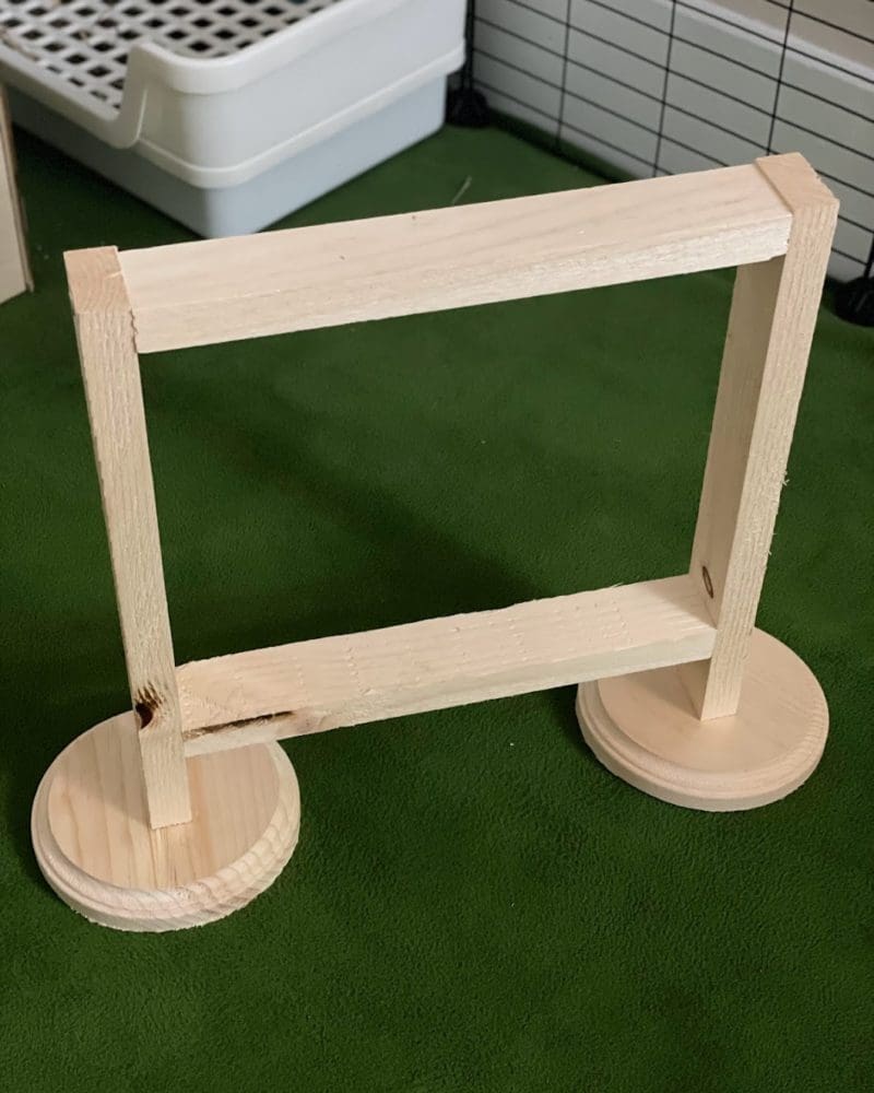 Rabbit Agility and Jumping Box Hoop