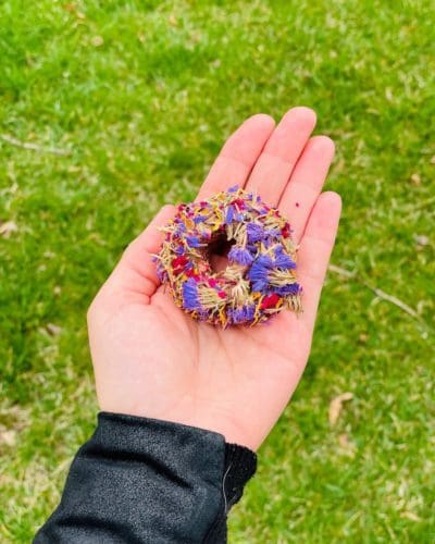 2" Donut With Flower Petal Hay Treat for Rabbit, Hamsters, Guinea Pigs, Chinchillas, and other Small Rodents.