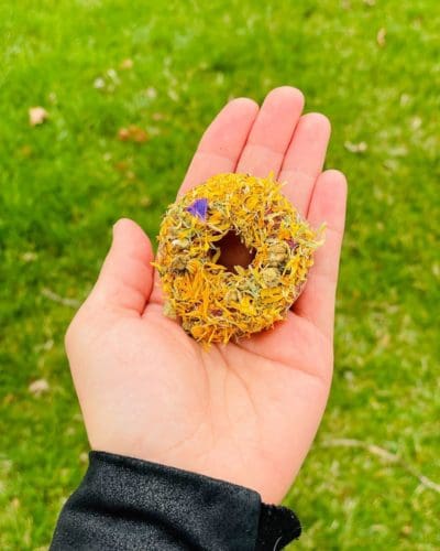 2" Donut With Flower Petal Hay Treat for Rabbit, Hamsters, Guinea Pigs, Chinchillas, and other Small Rodents.