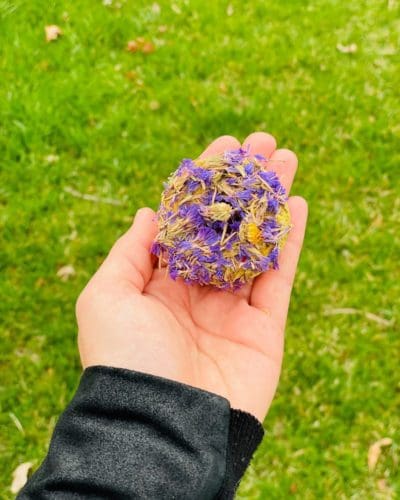 2" Donut With Flower Petal Hay Treat for Rabbit, Hamsters, Guinea Pigs, Chinchillas, and other Small Rodents.