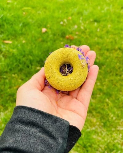 2" Donut With Flower Petal Hay Treat for Rabbit, Hamsters, Guinea Pigs, Chinchillas, and other Small Rodents.