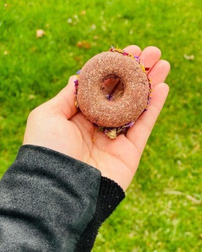 2" Donut With Flower Petal Hay Treat for Rabbit, Hamsters, Guinea Pigs, Chinchillas, and other Small Rodents.