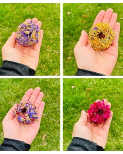 2" Donut With Flower Petal Hay Treat for Rabbit, Hamsters, Guinea Pigs, Chinchillas, and other Small Rodents.