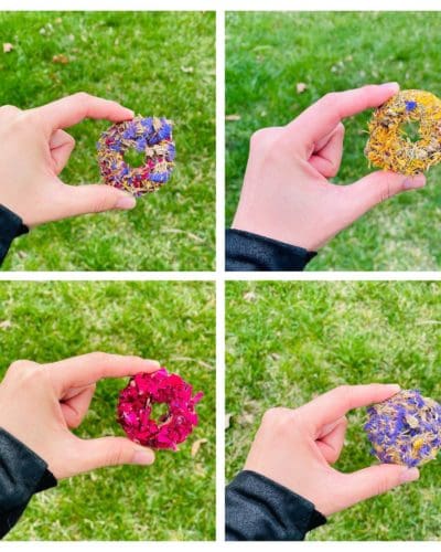 2" Donut With Flower Petal Hay Treat for Rabbit, Hamsters, Guinea Pigs, Chinchillas, and other Small Rodents.