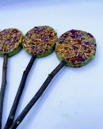 Timothy Hay Floral Grass Biscuit Lollipop Treat With Petals Rabbit, Hamsters Guinea Pigs Chinchillas Rodents and other Small Rodents