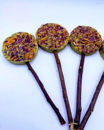 Timothy Hay Floral Grass Biscuit Lollipop Treat With Petals Rabbit, Hamsters Guinea Pigs Chinchillas Rodents and other Small Rodents