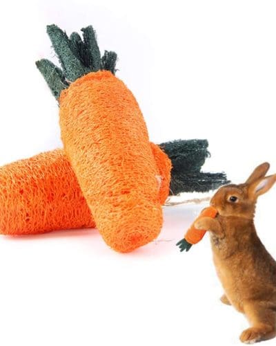 Rabbit Carrot Loofah and Chew Toy Treat For Rabbit, Hamsters, Guinea Pigs, Chinchillas & Small Rodents