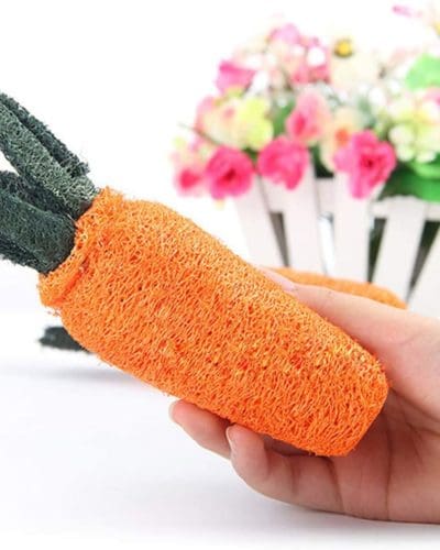 Rabbit Carrot Loofah and Chew Toy Treat For Rabbit, Hamsters, Guinea Pigs, Chinchillas & Small Rodents