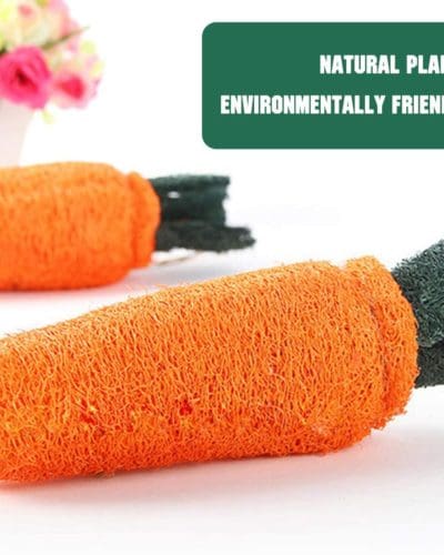 Rabbit Carrot Loofah and Chew Toy Treat For Rabbit, Hamsters, Guinea Pigs, Chinchillas & Small Rodents