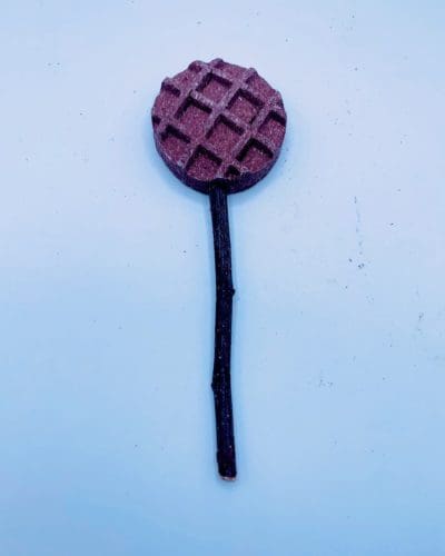 Waffle with Apple Stick Lollipop Treats For Rabbits, Hamsters, Guinea Pigs, Chinchillas, and Small Rodents