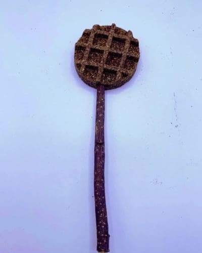 Waffle with Apple Stick Lollipop Treats For Rabbits, Hamsters, Guinea Pigs, Chinchillas, and Small Rodents