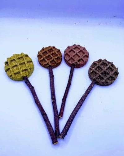 Waffle with Apple Stick Lollipop Treats For Rabbits, Hamsters, Guinea Pigs, Chinchillas, and Small Rodents