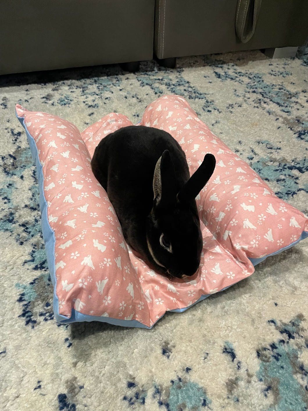 Bunny Flop Mat and Bed for Rabbits, Chinchillas, Guinea Pigs, Hamsters and other Small Animals