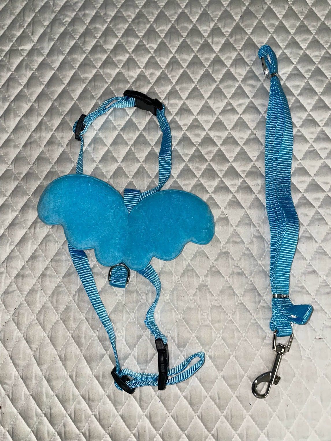 harness and leash for rabbit,cats and small dog