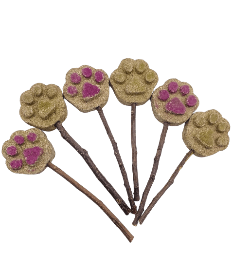 2 Pack Paw Print Timothy Hay Cakes Lollipop Rabbit Treat for Hamsters, Guinea Pigs, Chinchillas, and other Small Rodents.